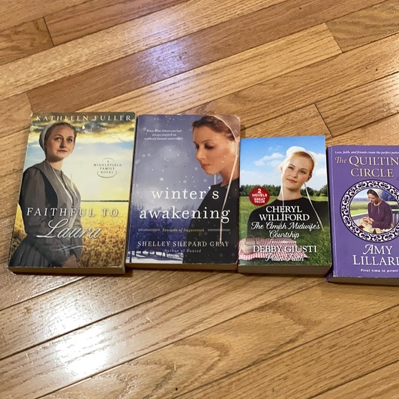 4 Amish Books. In good condition - Picture 1 of 10